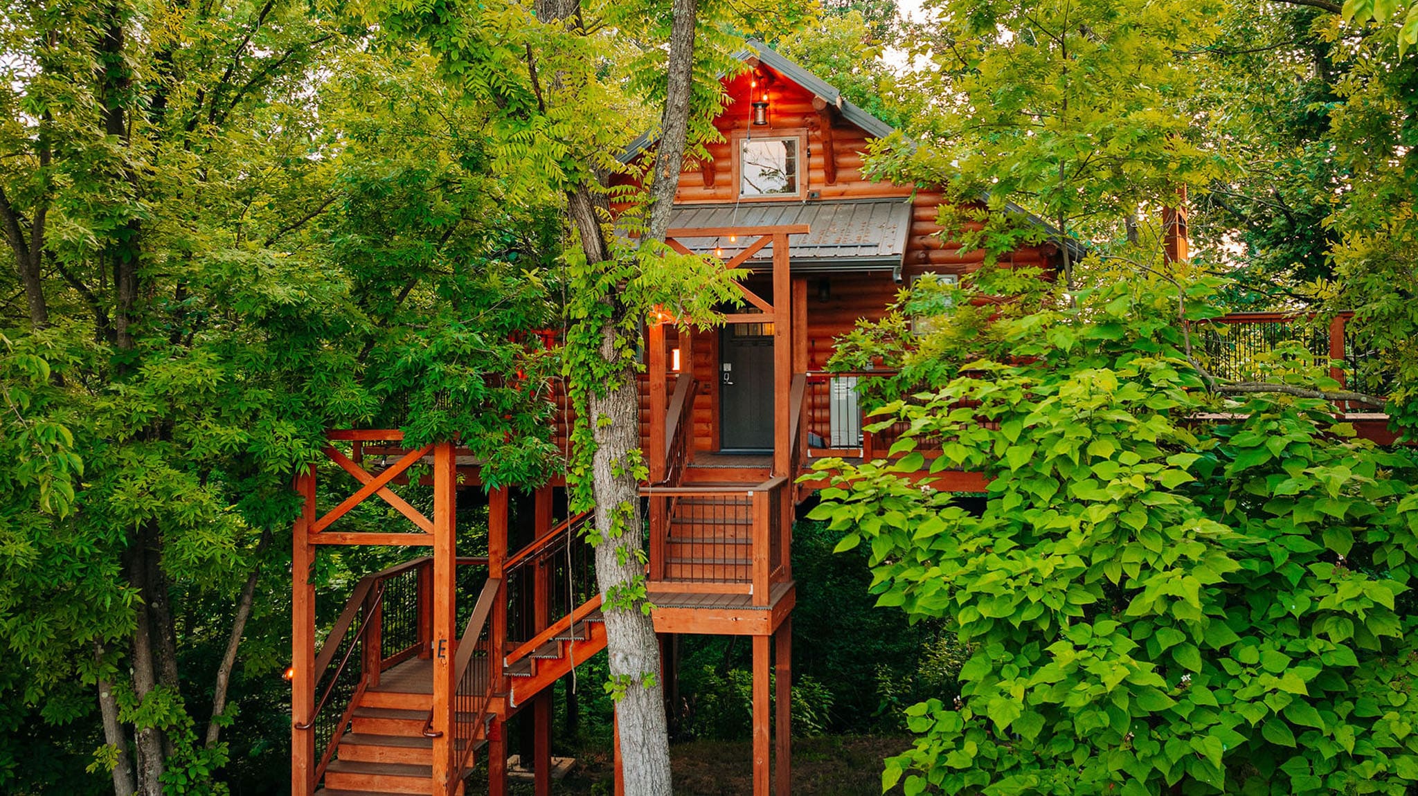 Exterior of Cricket Hill Treehouse E elevated among tall Ohio trees