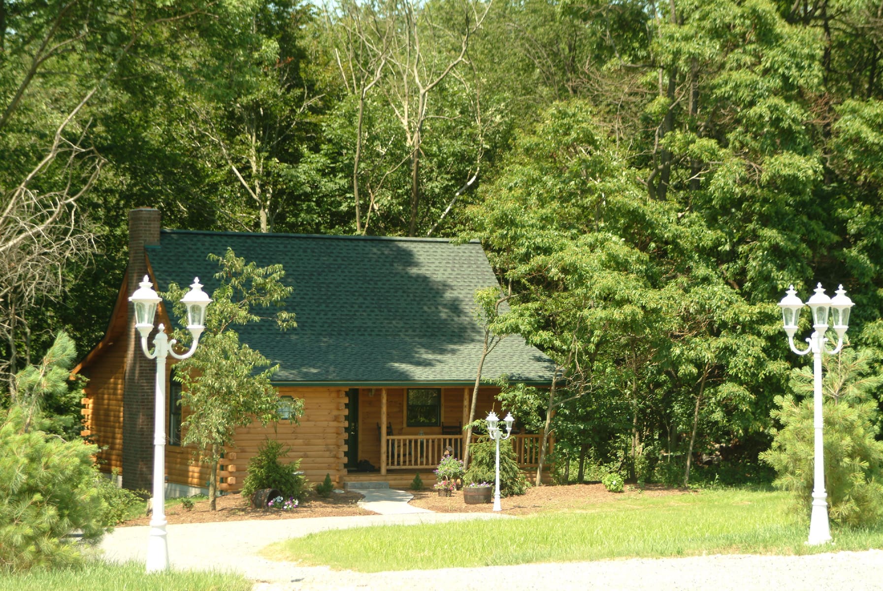 Wild Rose log cabin above a wooded ravine in Ohio Amish Country